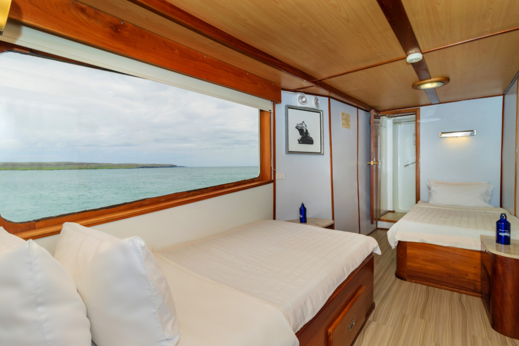 Beluga Galapagos Cabin