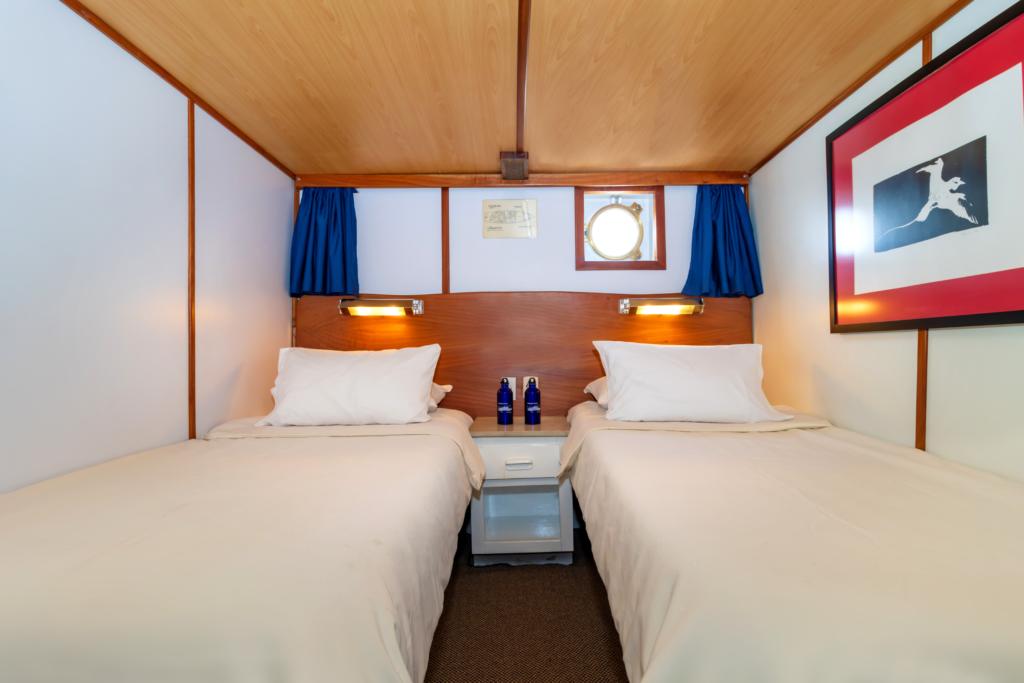 Beluga Galapagos Cabin