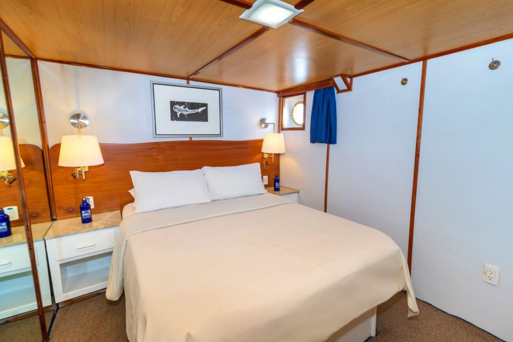 Beluga Galapagos Cabin